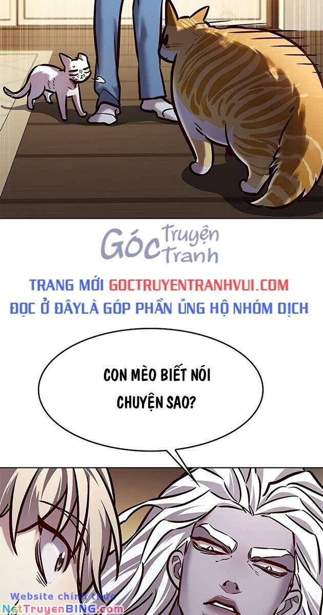 Hoá Thân Thành Mèo Chap 278 - Next Chap 279