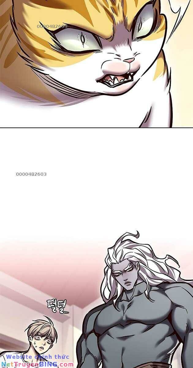 Hoá Thân Thành Mèo Chap 278 - Next Chap 279