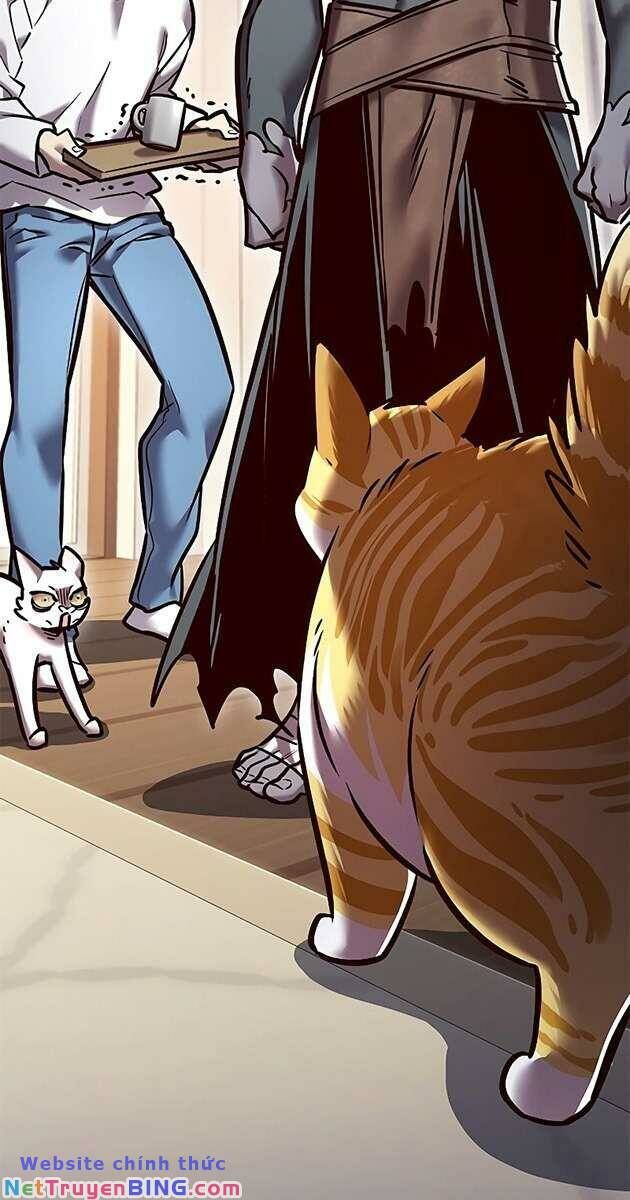 Hoá Thân Thành Mèo Chap 278 - Next Chap 279