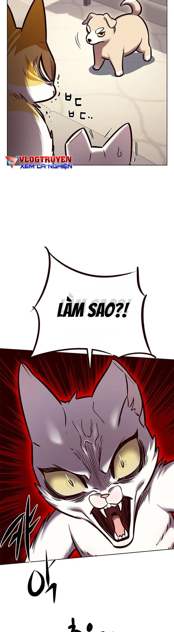 Hoá Thân Thành Mèo Chap 279 - Next Chap 280