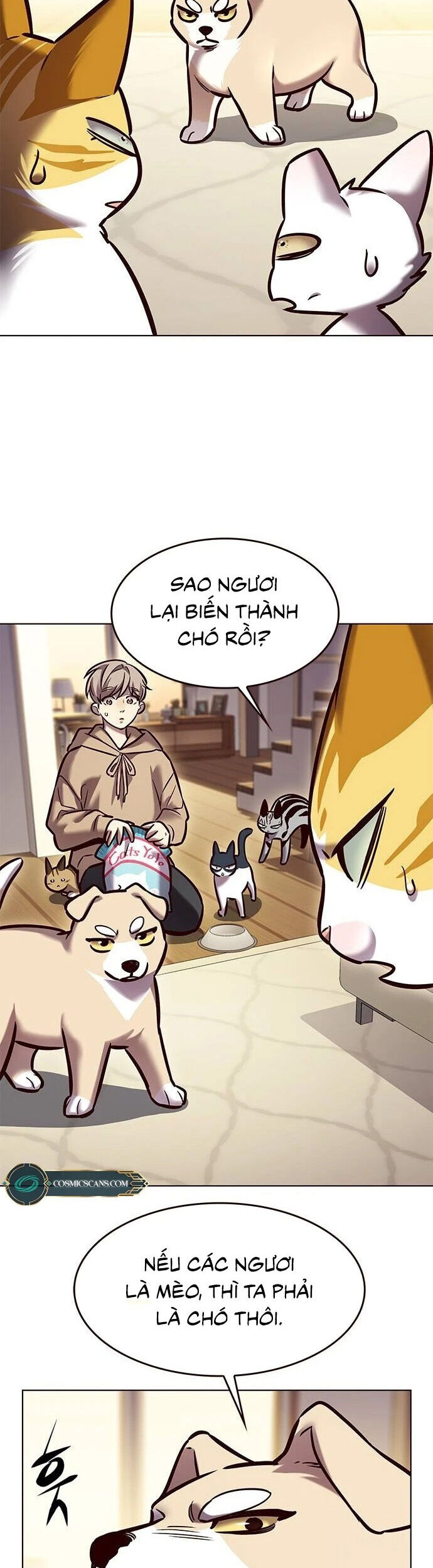Hoá Thân Thành Mèo Chap 279 - Next Chap 280