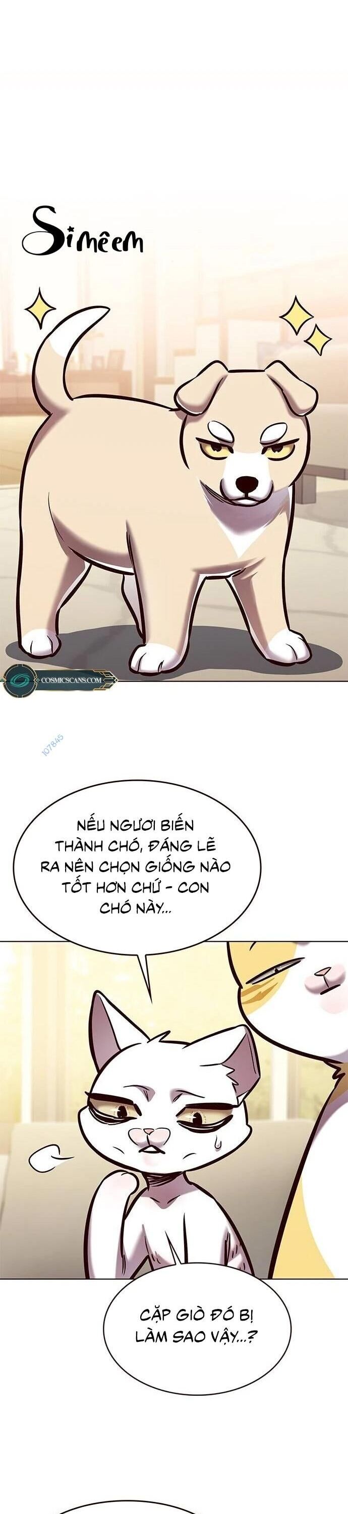 Hoá Thân Thành Mèo Chap 279 - Next Chap 280