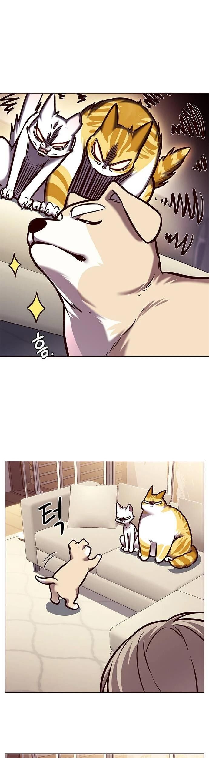 Hoá Thân Thành Mèo Chap 279 - Next Chap 280