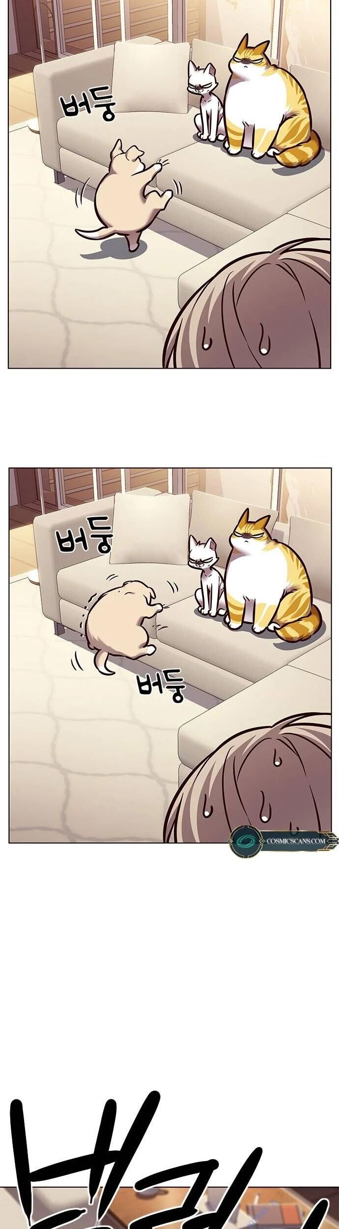 Hoá Thân Thành Mèo Chap 279 - Next Chap 280