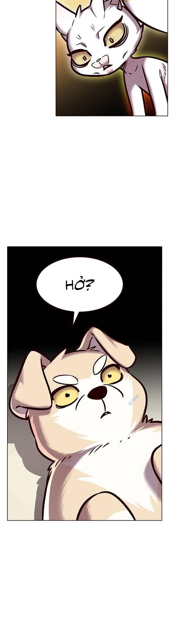 Hoá Thân Thành Mèo Chap 279 - Next Chap 280