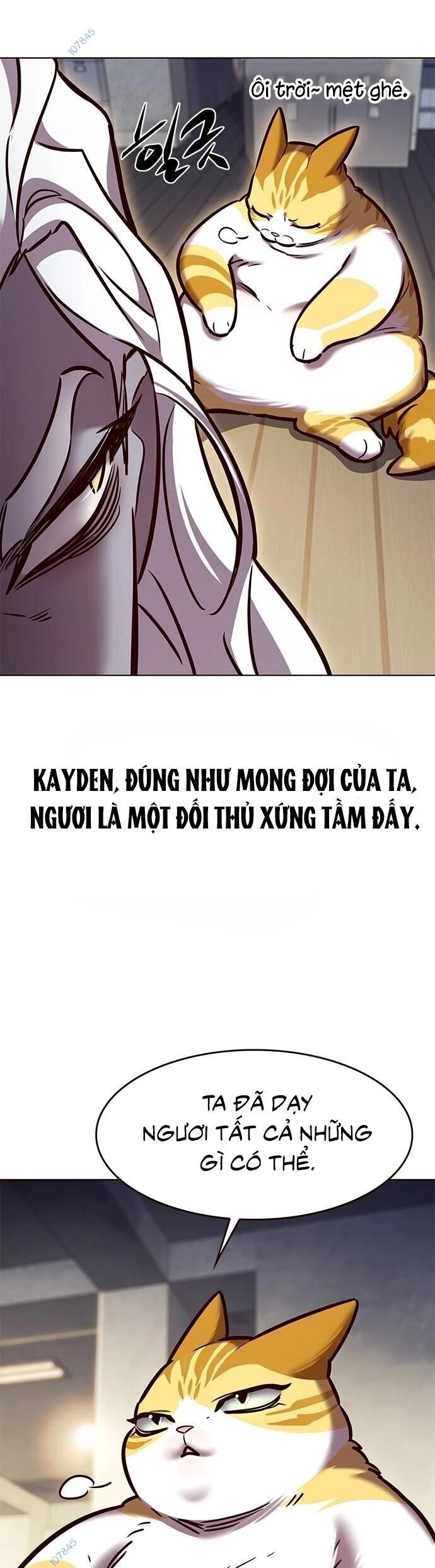 Hoá Thân Thành Mèo Chap 279 - Next Chap 280