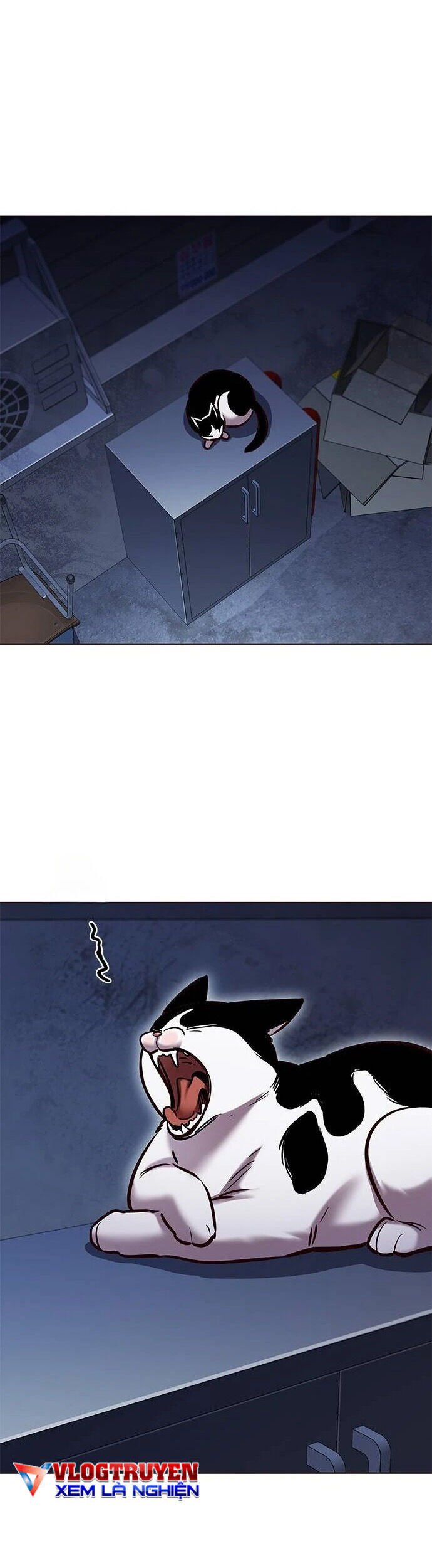 Hoá Thân Thành Mèo Chap 279 - Next Chap 280