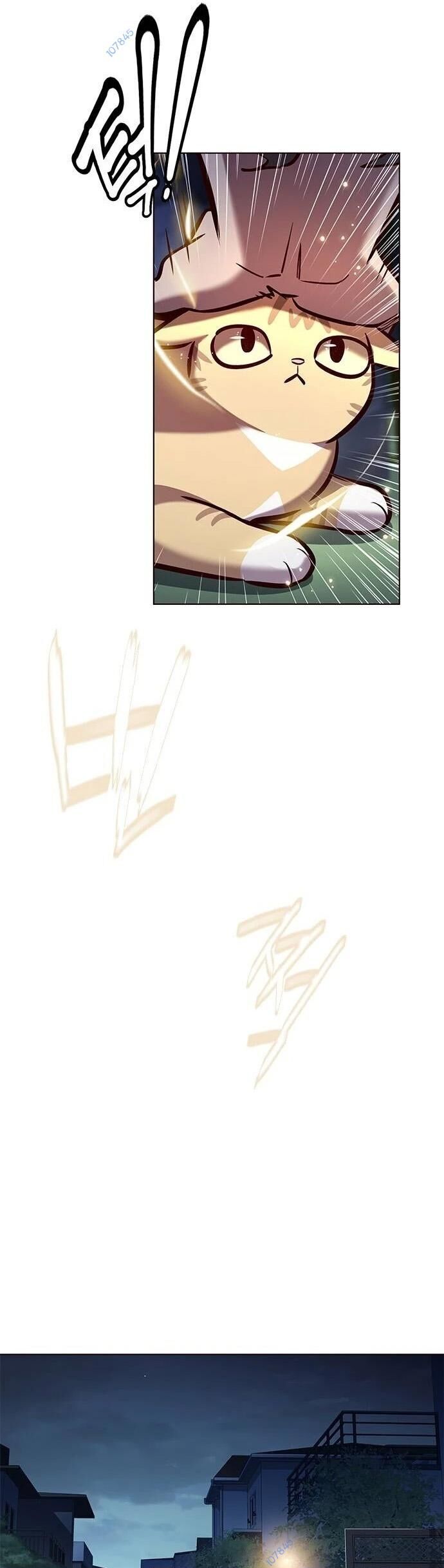 Hoá Thân Thành Mèo Chap 279 - Next Chap 280