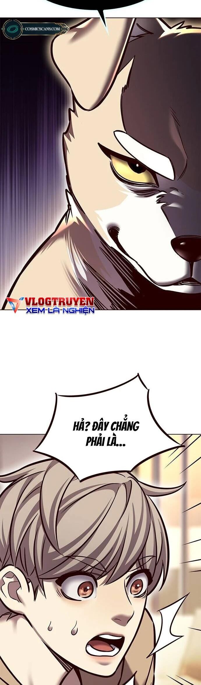 Hoá Thân Thành Mèo Chap 279 - Next Chap 280