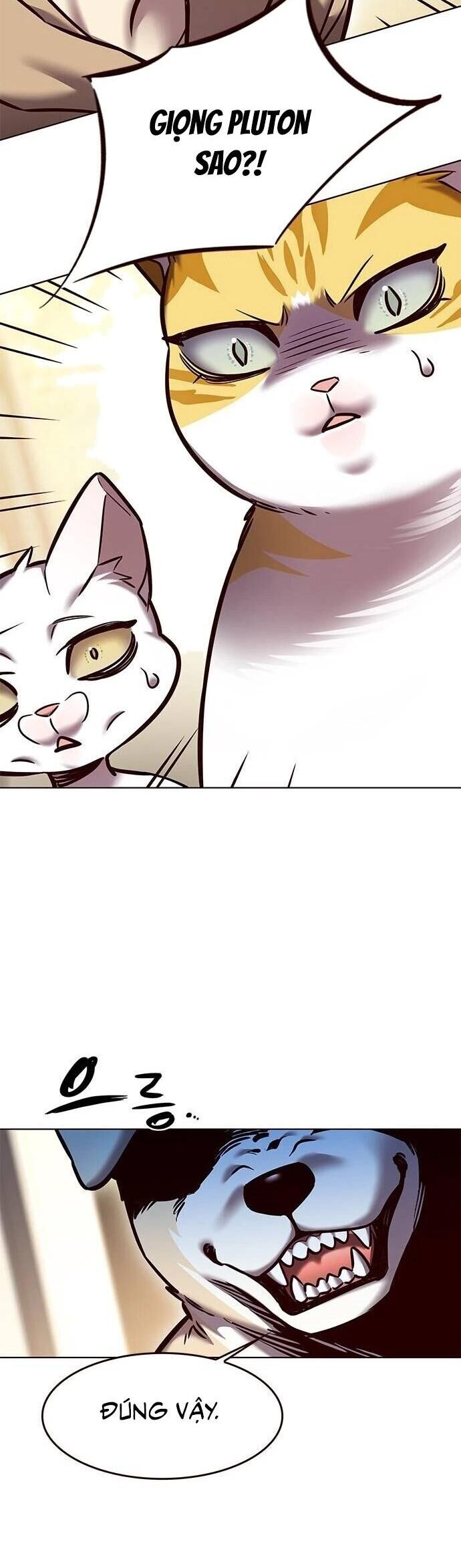 Hoá Thân Thành Mèo Chap 279 - Next Chap 280