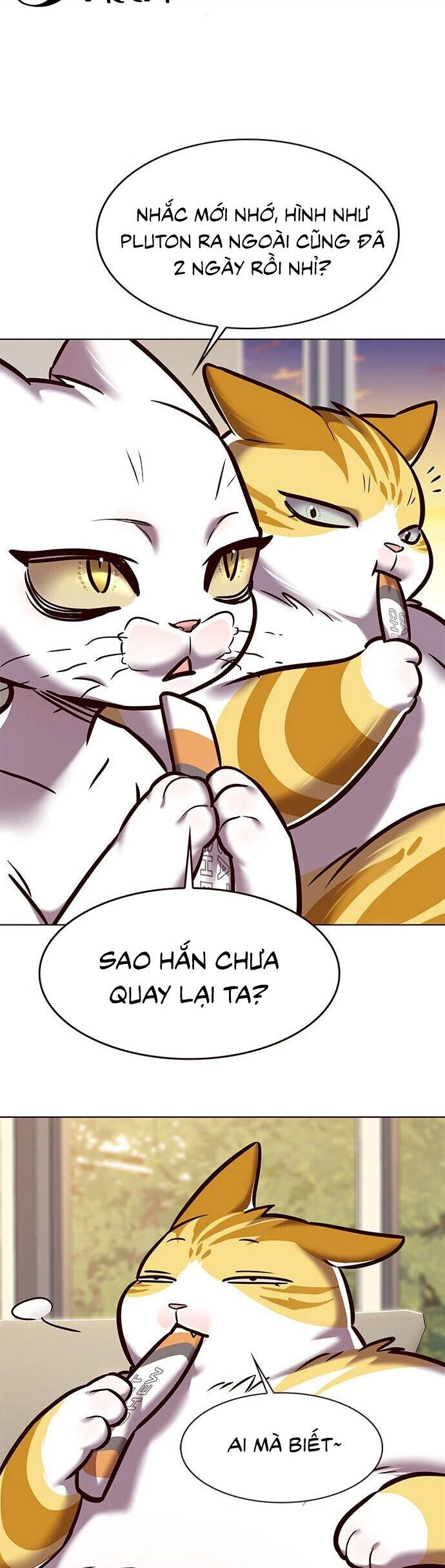 Hoá Thân Thành Mèo Chap 279 - Next Chap 280