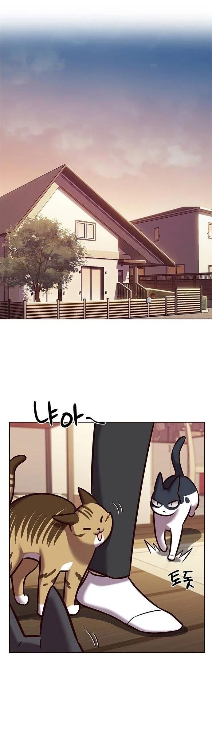 Hoá Thân Thành Mèo Chap 279 - Next Chap 280