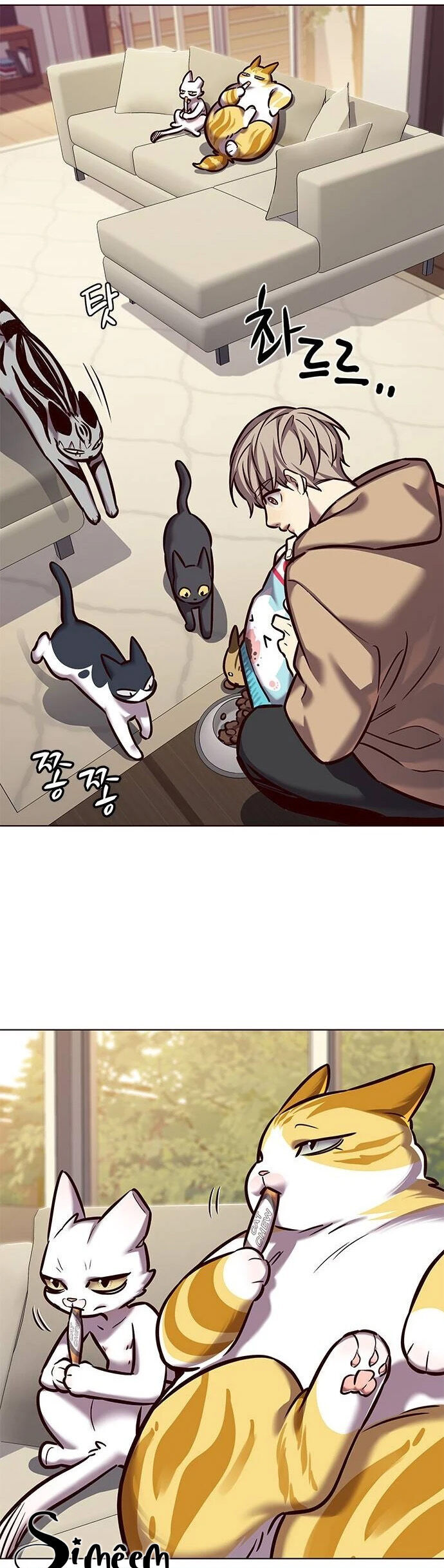 Hoá Thân Thành Mèo Chap 279 - Next Chap 280