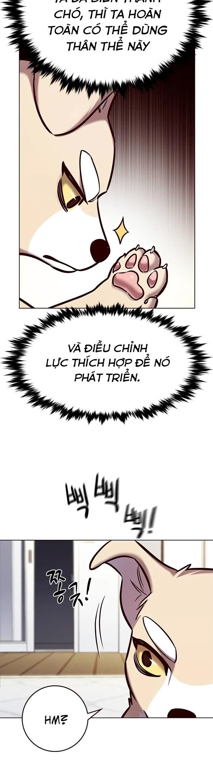 Hoá Thân Thành Mèo Chap 280 - Next Chap 281