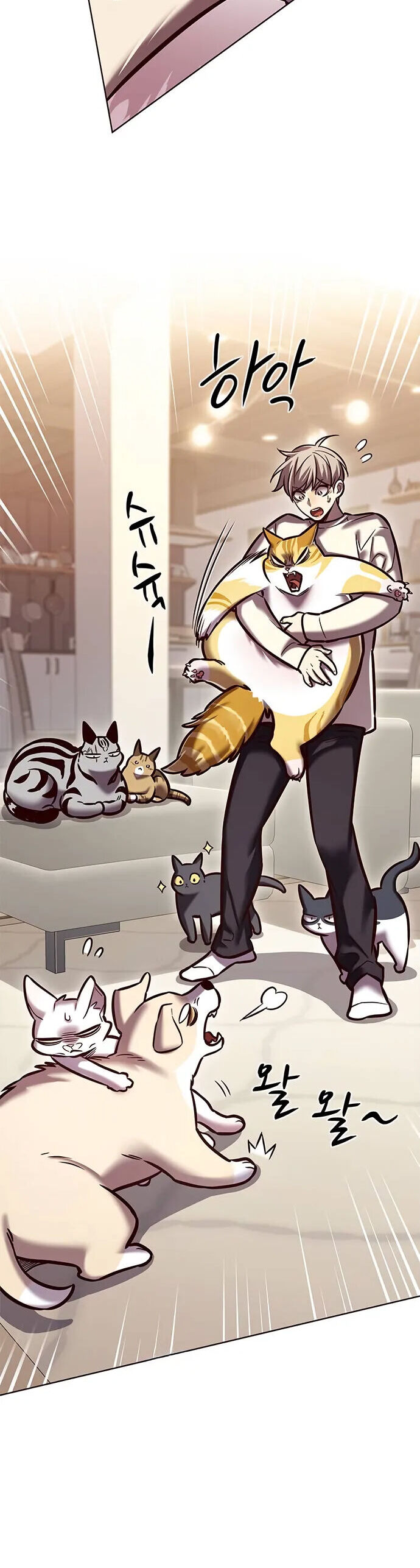 Hoá Thân Thành Mèo Chap 280 - Next Chap 281