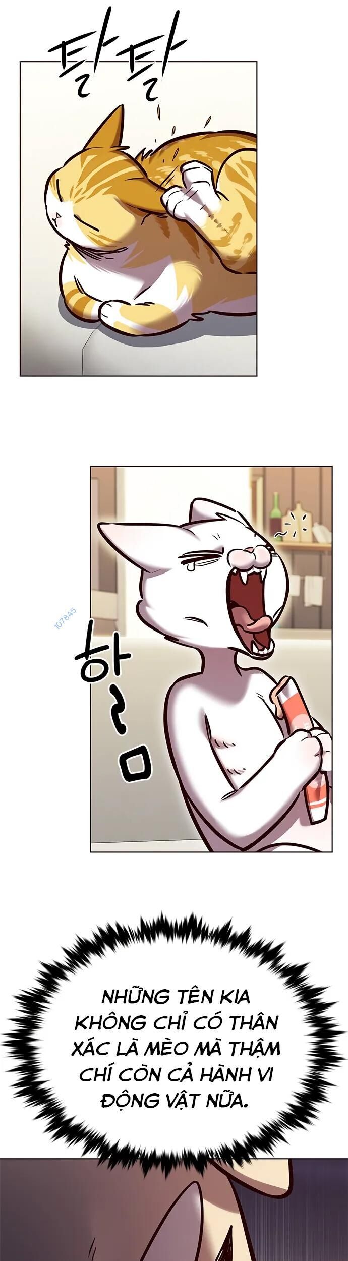 Hoá Thân Thành Mèo Chap 280 - Next Chap 281