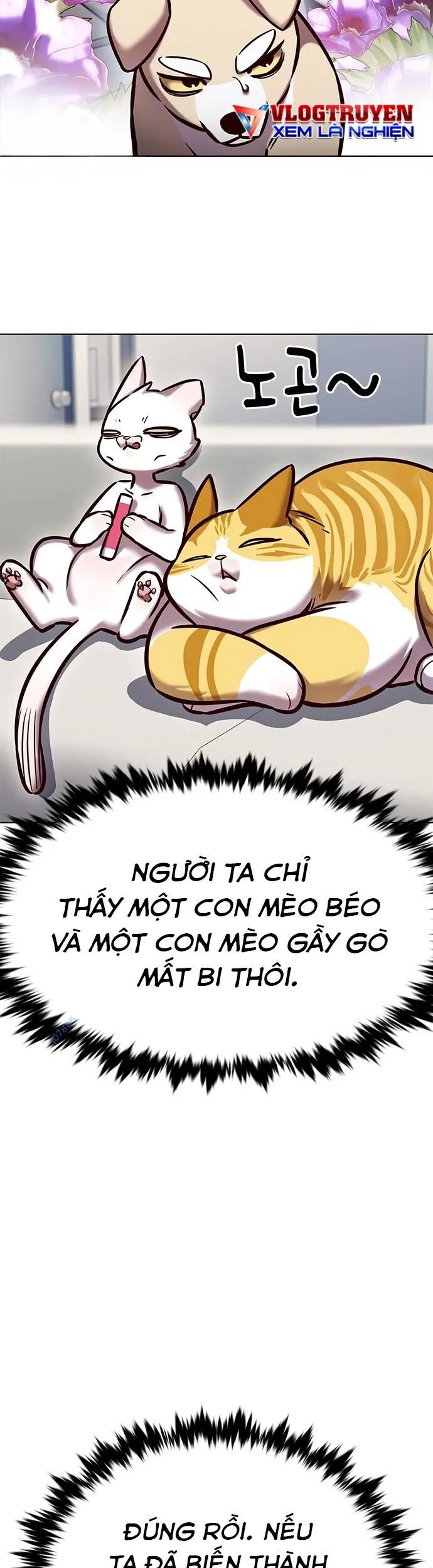 Hoá Thân Thành Mèo Chap 280 - Next Chap 281