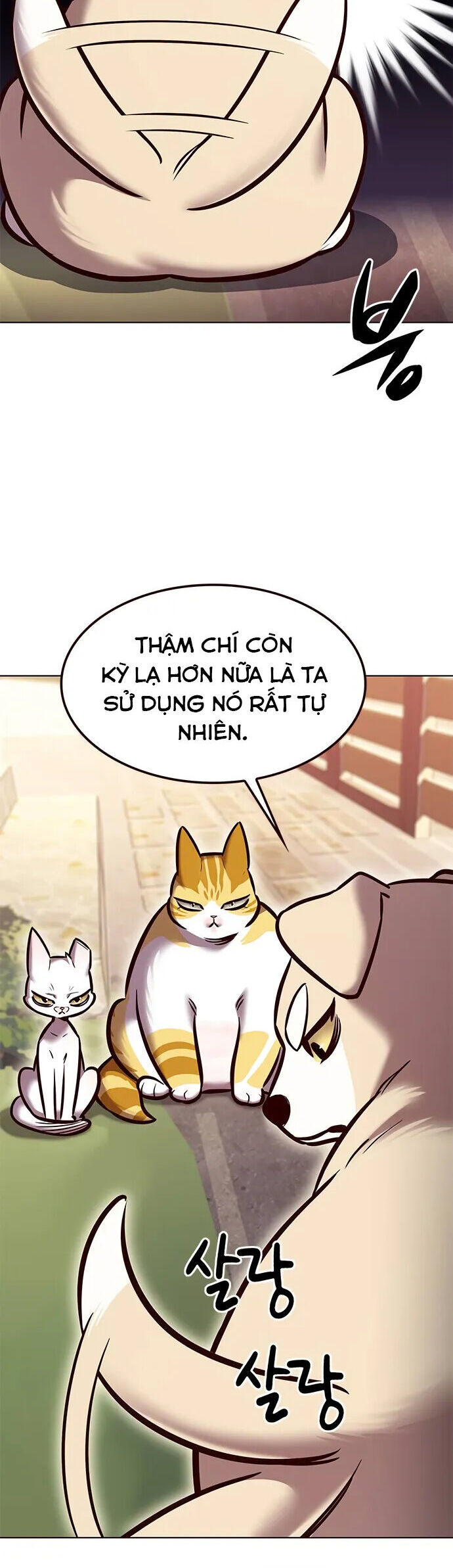 Hoá Thân Thành Mèo Chap 280 - Next Chap 281