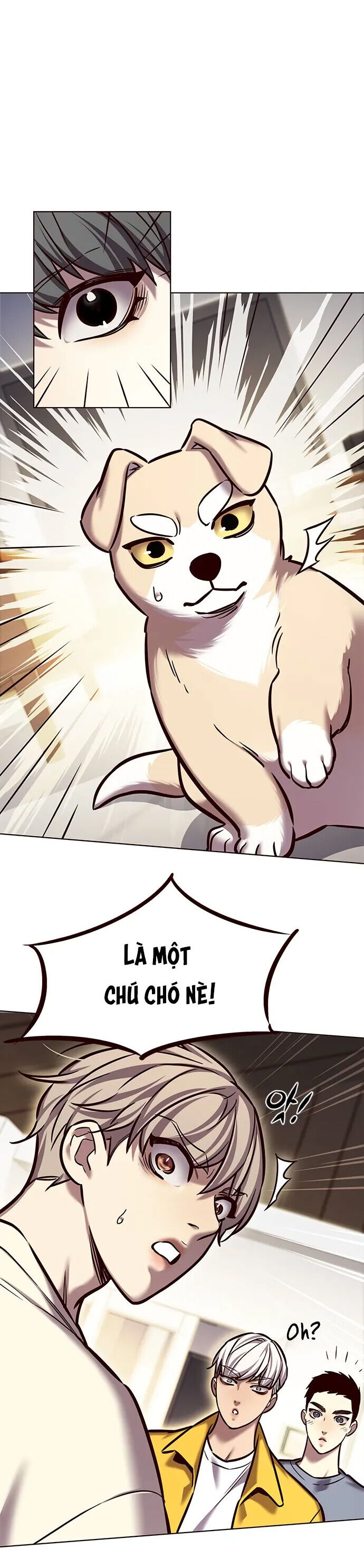 Hoá Thân Thành Mèo Chap 280 - Next Chap 281