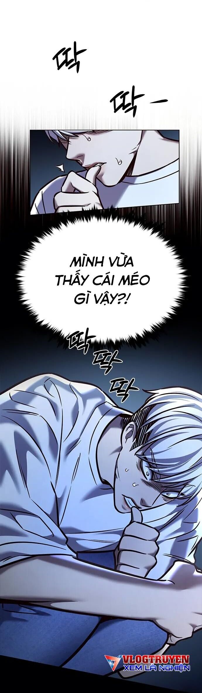 Hoá Thân Thành Mèo Chap 280 - Next Chap 281