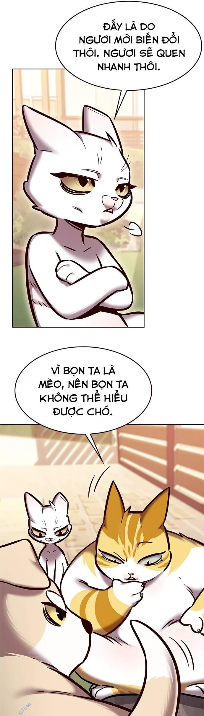 Hoá Thân Thành Mèo Chap 280 - Next Chap 281