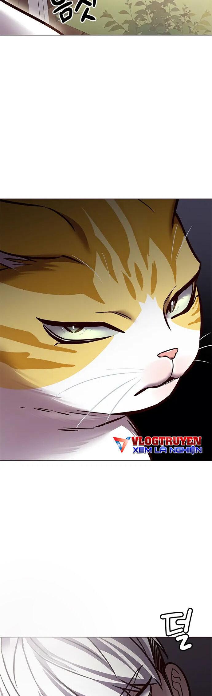 Hoá Thân Thành Mèo Chap 280 - Next Chap 281