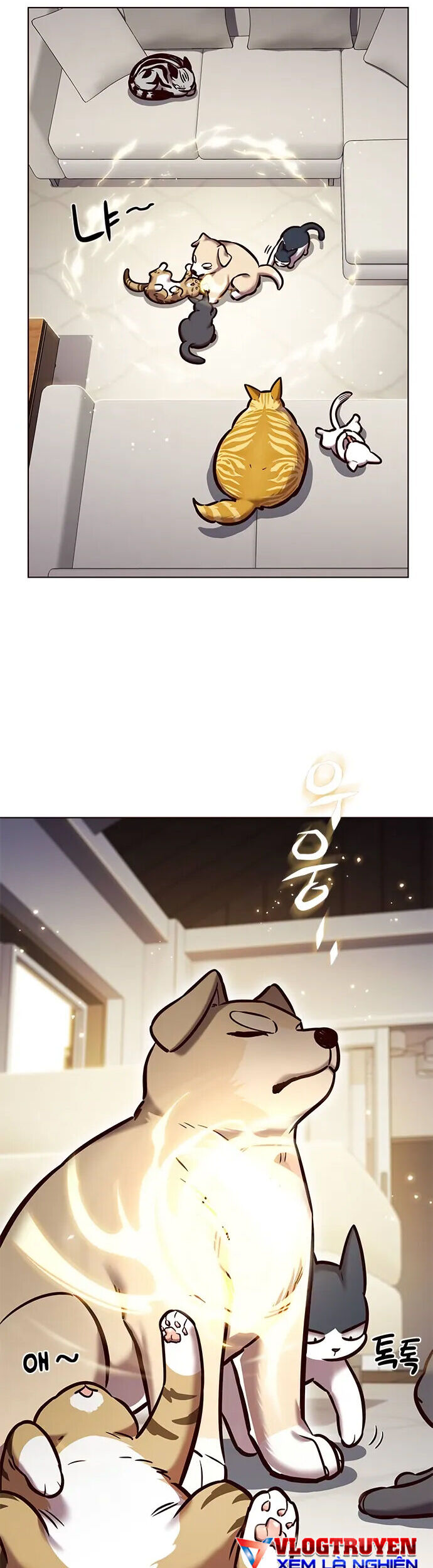 Hoá Thân Thành Mèo Chap 280 - Next Chap 281