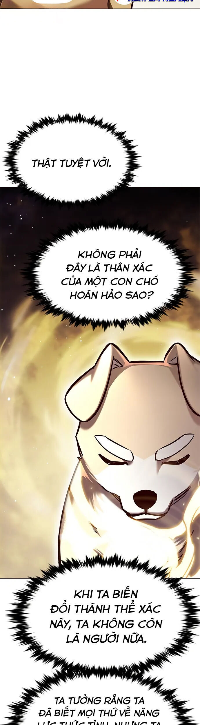 Hoá Thân Thành Mèo Chap 280 - Next Chap 281