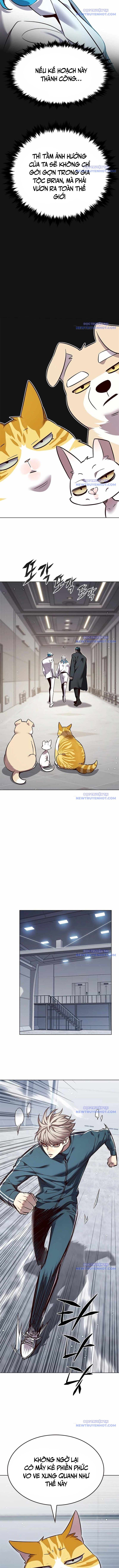 Hoá Thân Thành Mèo Chap 343 - Next Chap 344