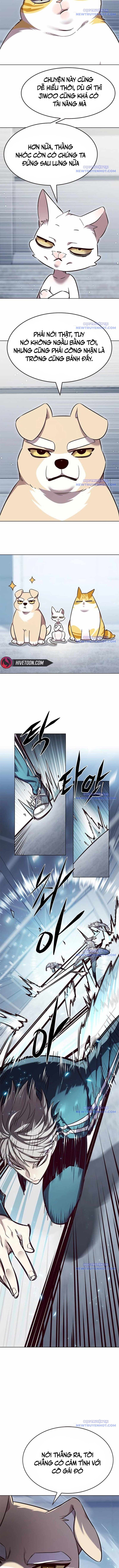 Hoá Thân Thành Mèo Chap 343 - Next Chap 344