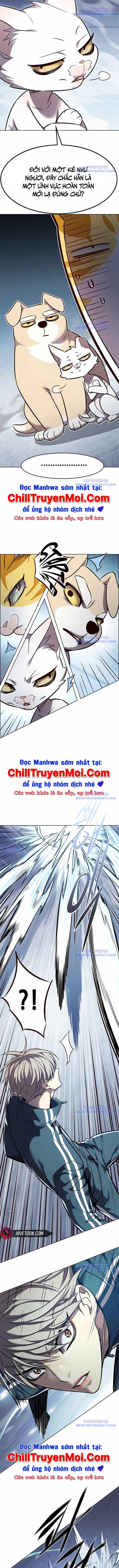Hoá Thân Thành Mèo Chap 343 - Next Chap 344