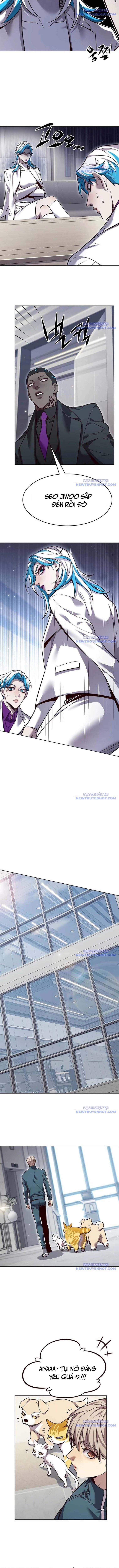 Hoá Thân Thành Mèo Chap 343 - Next Chap 344