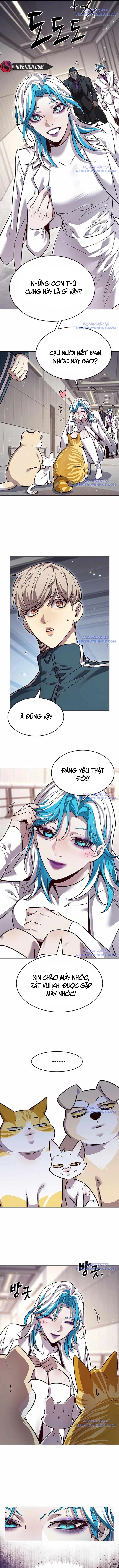 Hoá Thân Thành Mèo Chap 343 - Next Chap 344