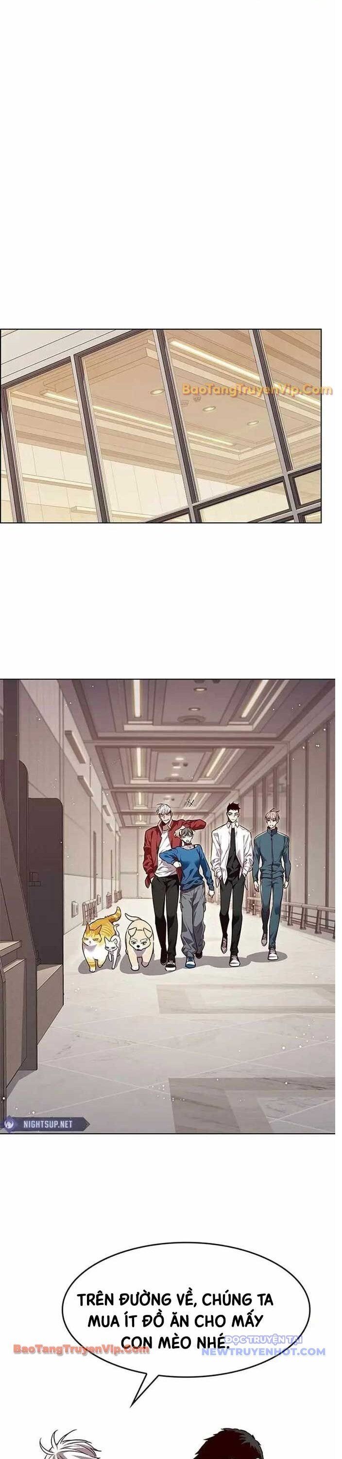 Hoá Thân Thành Mèo Chap 344 - Next Chap 345