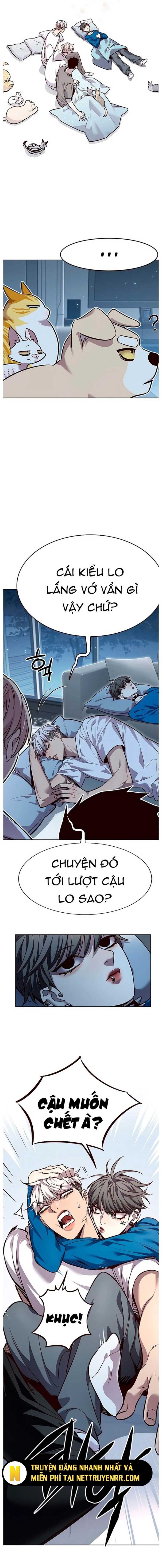 Hoá Thân Thành Mèo Chap 345 - Next Chap 346
