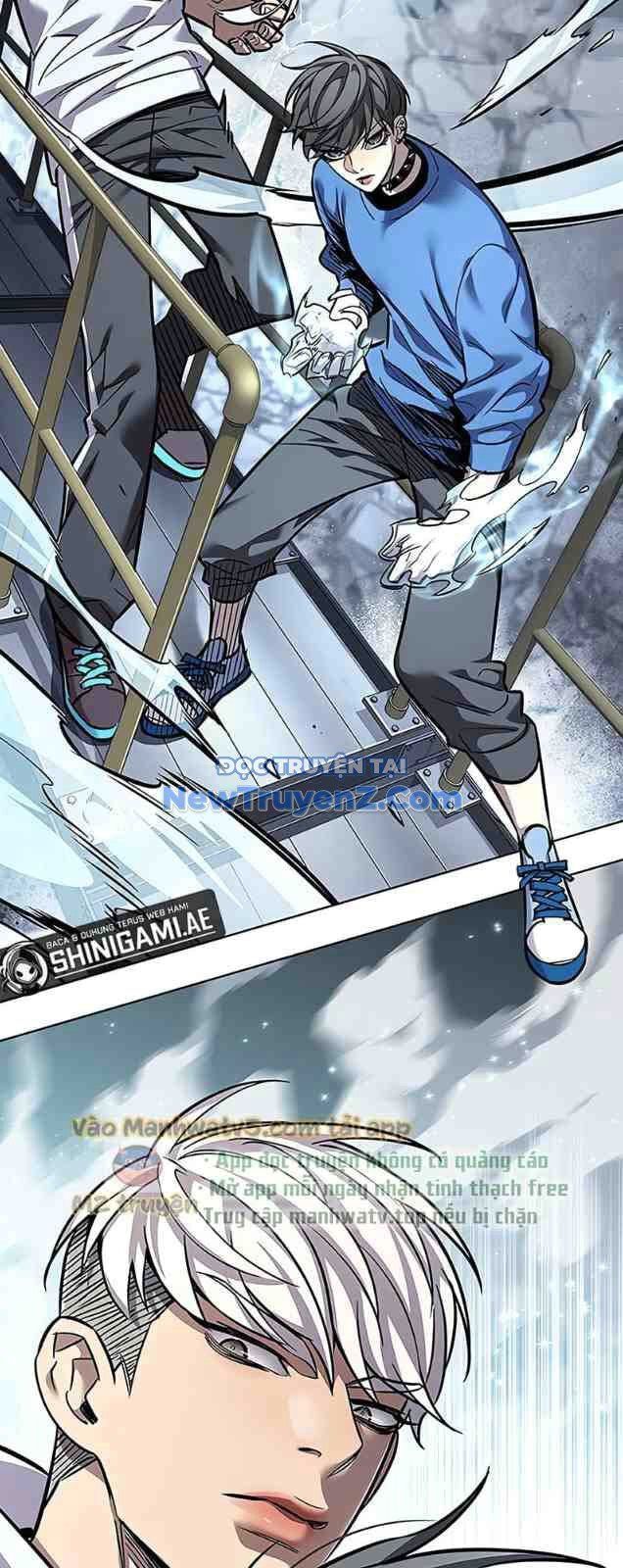 Hoá Thân Thành Mèo Chap 352 - Next Chap 353