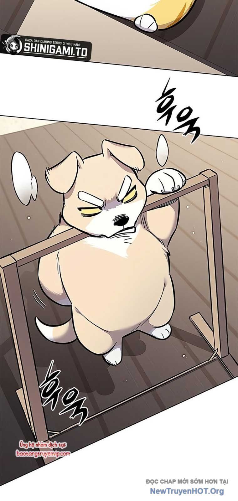 Hoá Thân Thành Mèo Chap 355 - Next Chap 356