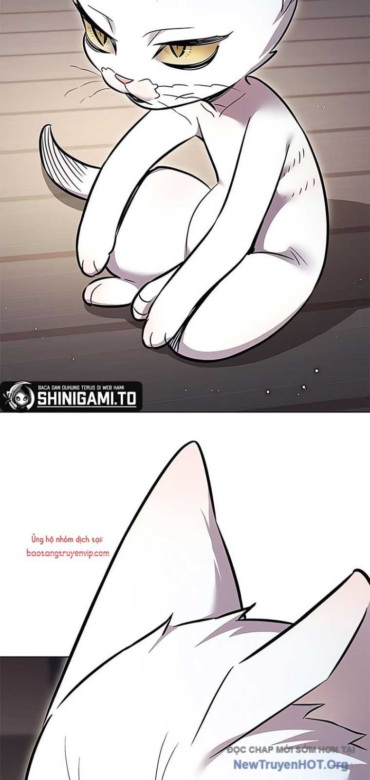 Hoá Thân Thành Mèo Chap 355 - Next Chap 356