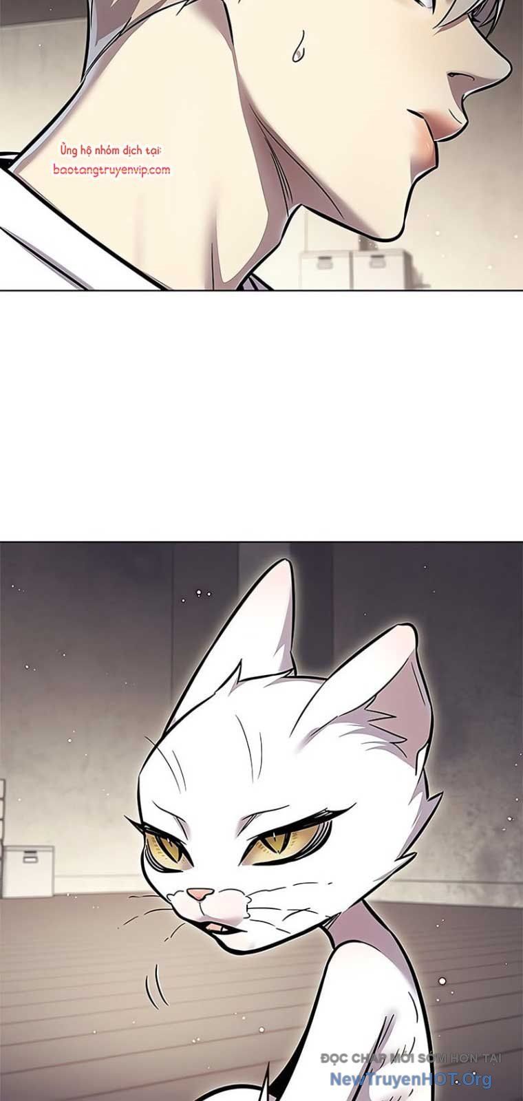 Hoá Thân Thành Mèo Chap 355 - Next Chap 356