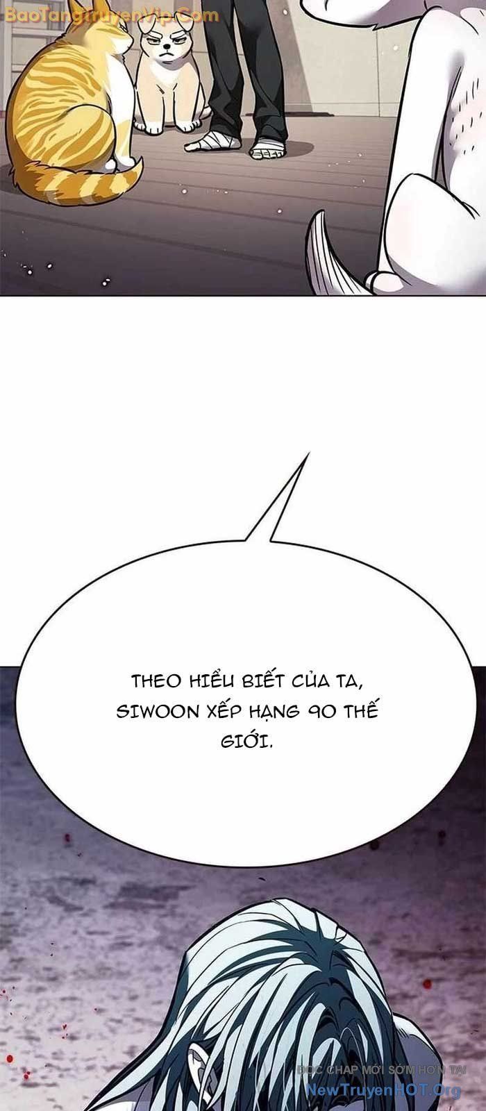 Hoá Thân Thành Mèo Chap 356 - Next Chap 357