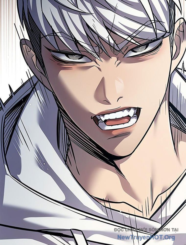 Hoá Thân Thành Mèo Chap 362 - Next Chap 363