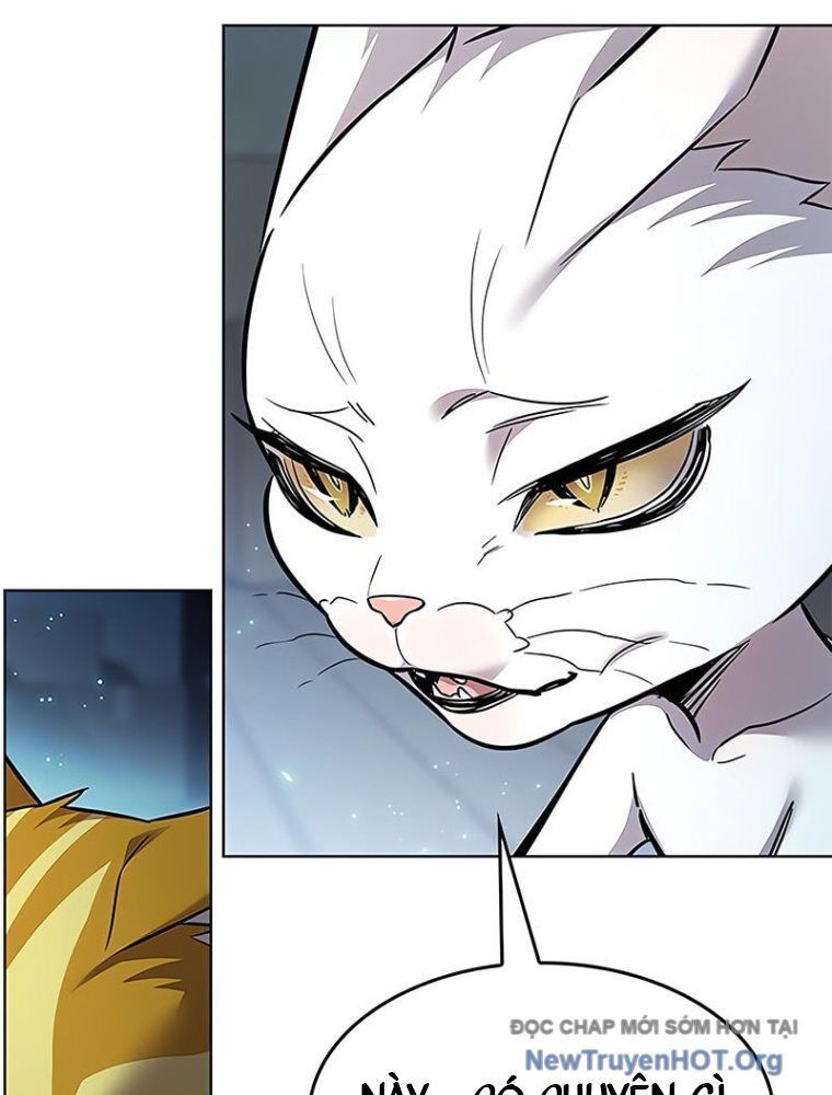 Hoá Thân Thành Mèo Chap 362 - Next Chap 363