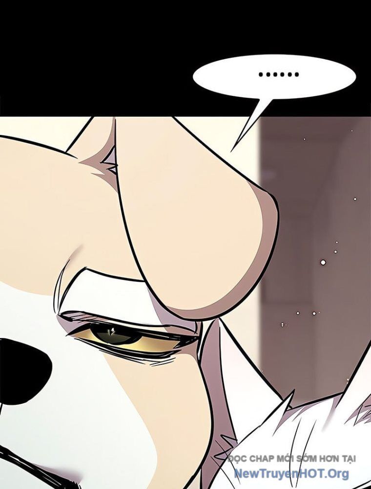Hoá Thân Thành Mèo Chap 362 - Next Chap 363