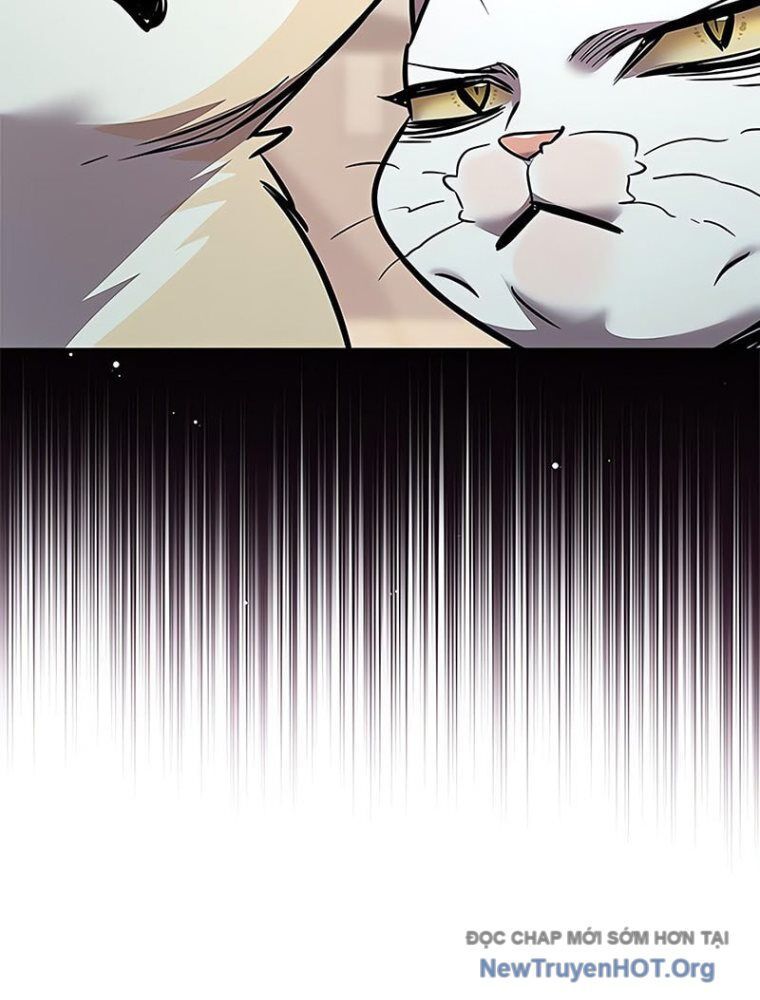 Hoá Thân Thành Mèo Chap 362 - Next Chap 363