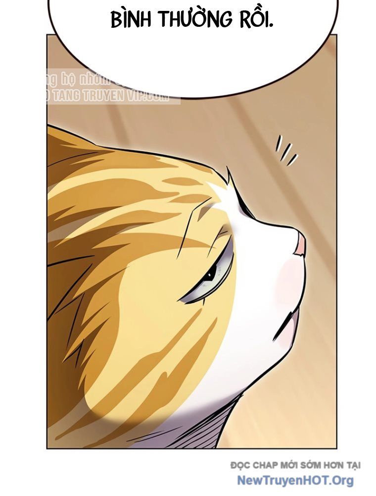 Hoá Thân Thành Mèo Chap 363 - Next Chap 364