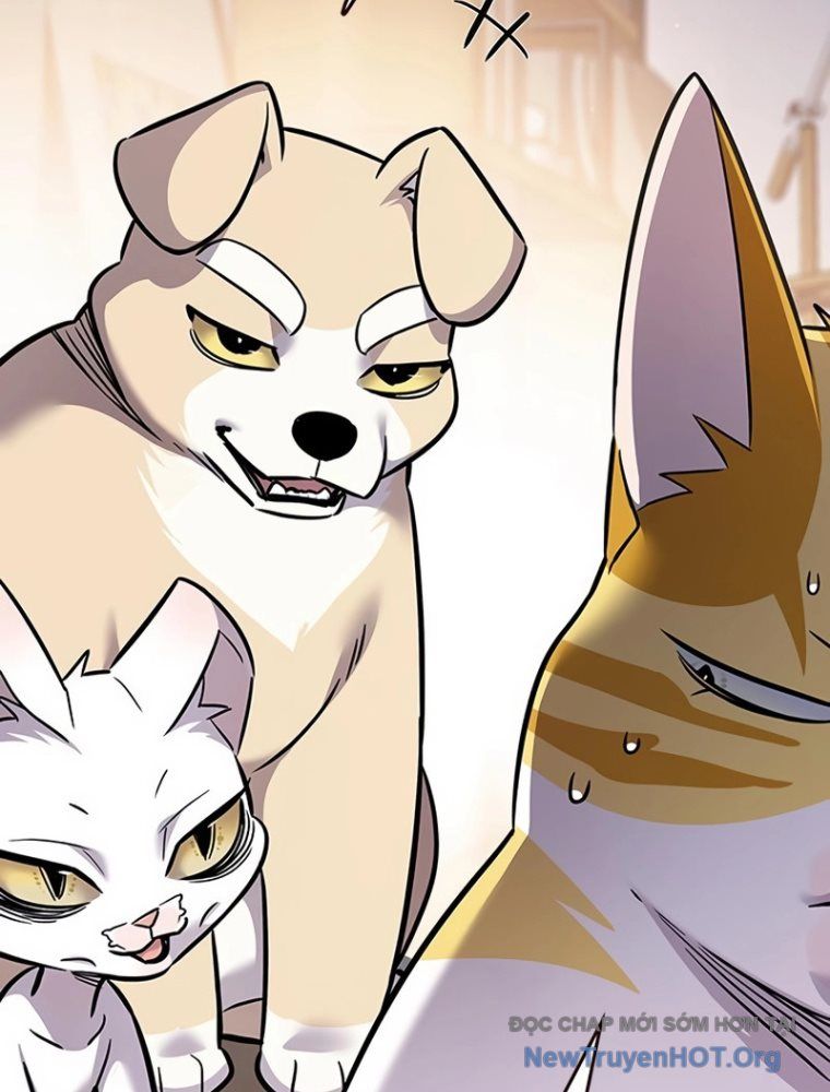 Hoá Thân Thành Mèo Chap 363 - Next Chap 364