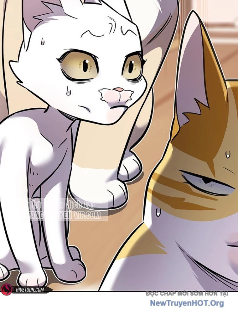 Hoá Thân Thành Mèo Chap 363 - Next Chap 364