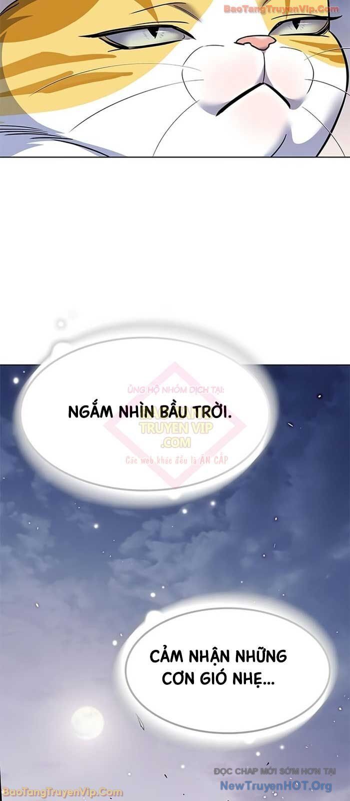Hoá Thân Thành Mèo Chap 364 - Next Chap 365