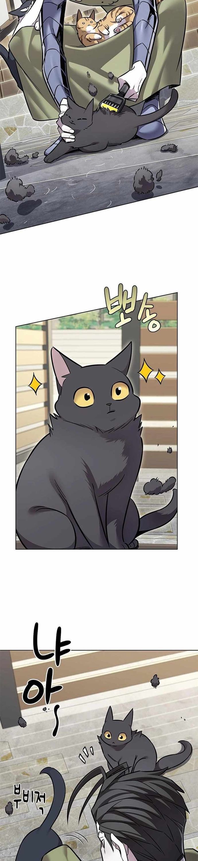 Hoá Thân Thành Mèo Chap 365 - Next Chap 366