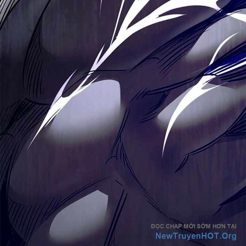 Hoá Thân Thành Mèo Chap 366 - Next Chap 367